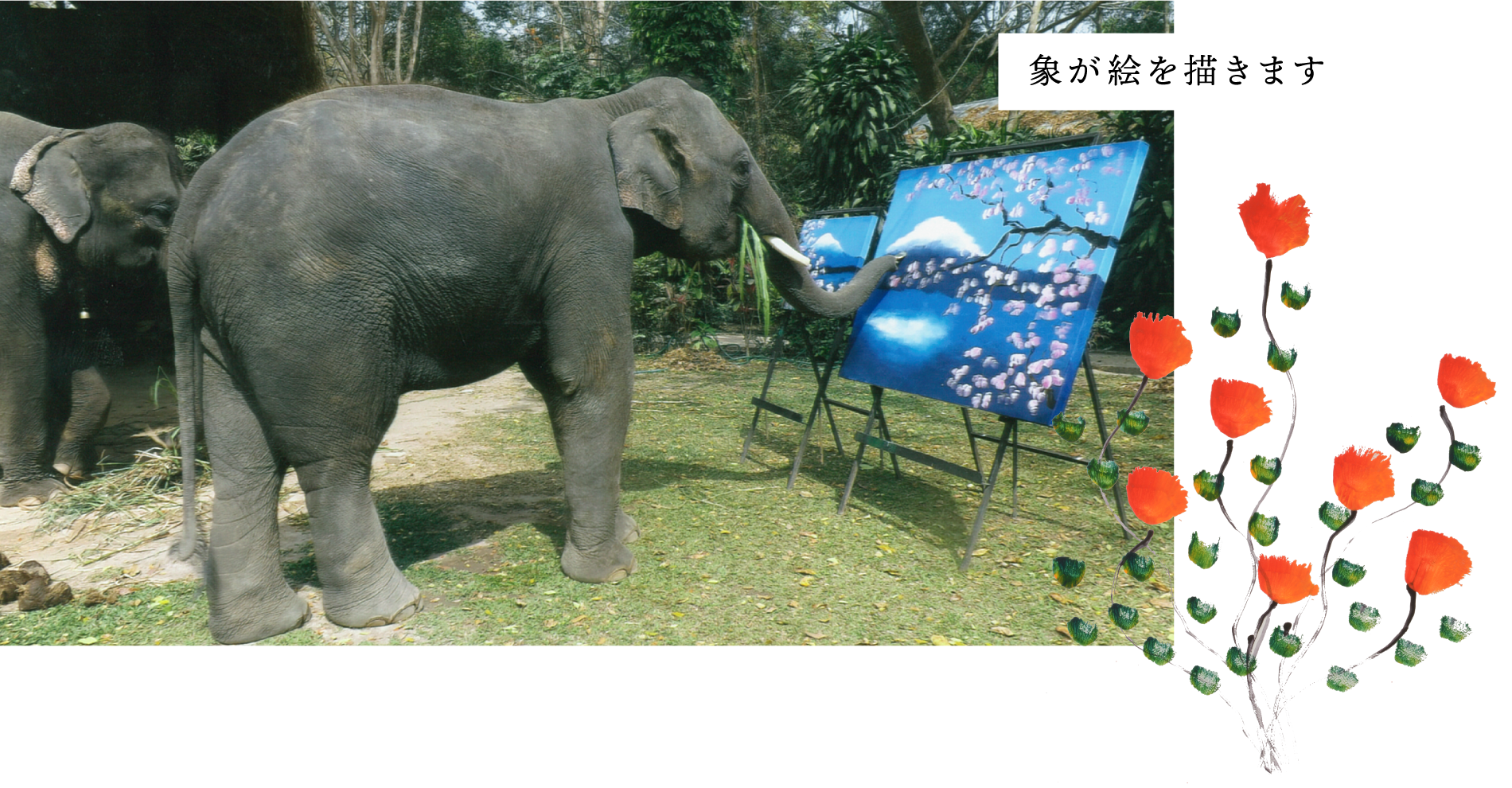 象が絵を描いている様子